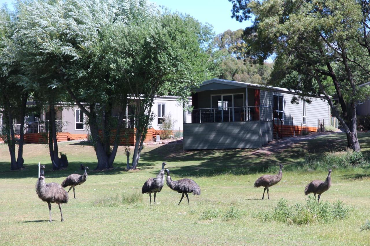 Halls Gap Lakeside Tourist Park Hotel ภายนอก รูปภาพ