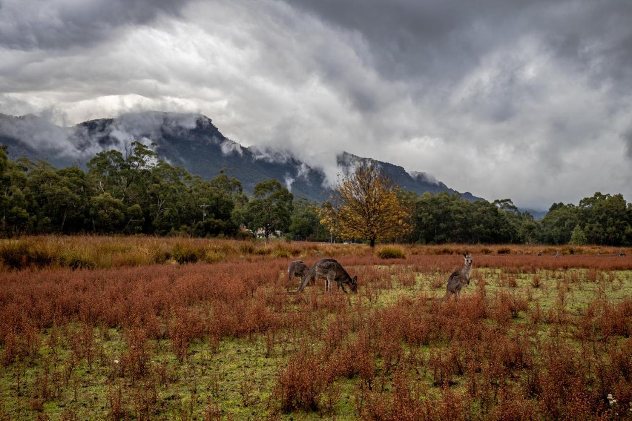 Halls Gap Lakeside Tourist Park Hotel ภายนอก รูปภาพ